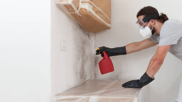 Professional Crawl Space Mold Removal technician working in Lindenhurst, IL