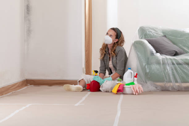 Reliable Crawl Space Mold Removal contractor in Lindenhurst, IL by WQB Mold Removal